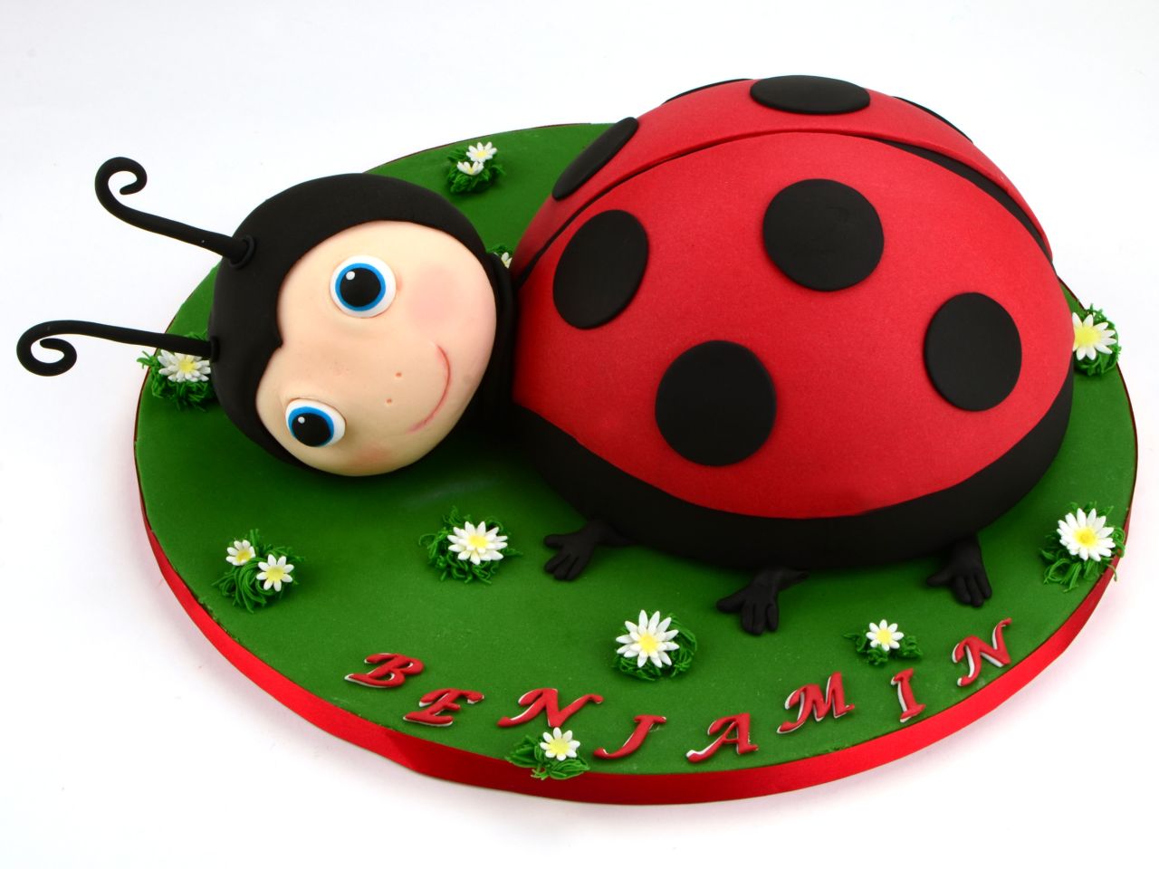 Backform Halbkugel 20 cm Durchmesser – Bild 2